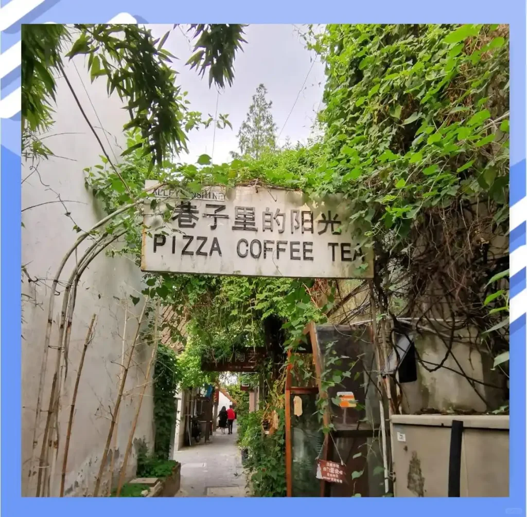 文艺青年的独特魅力与十大癖好