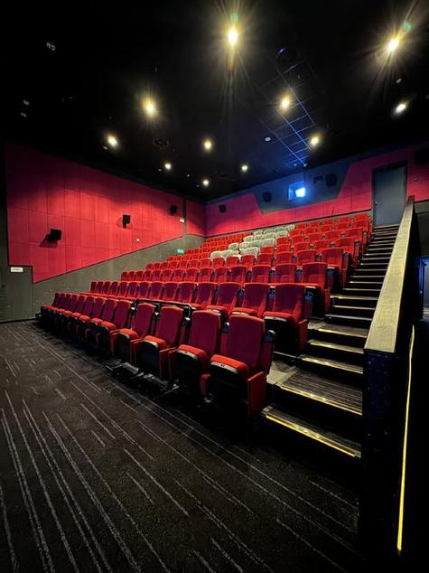 新文艺青年丨年轻人抛弃电影院了吗